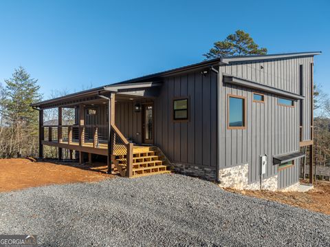 A home in Mineral Bluff