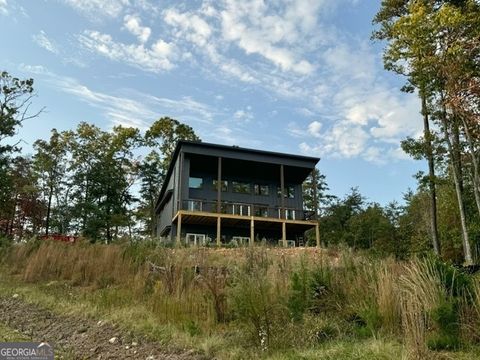 A home in Mineral Bluff