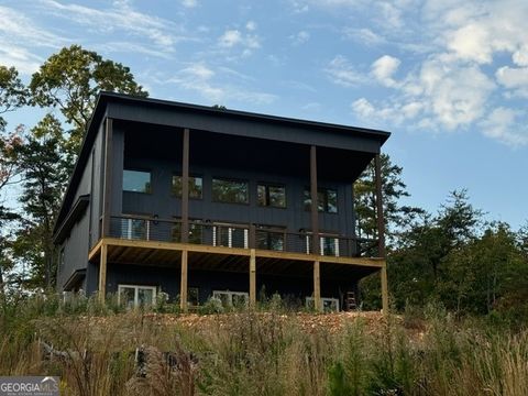 A home in Mineral Bluff