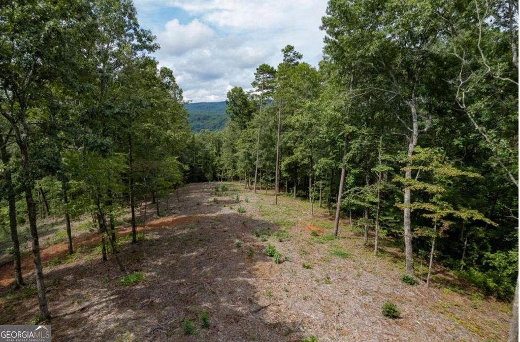 Photo of 315 Pebble Trace #315, Talking Rock, GA 30175 (MLS # 10731242)