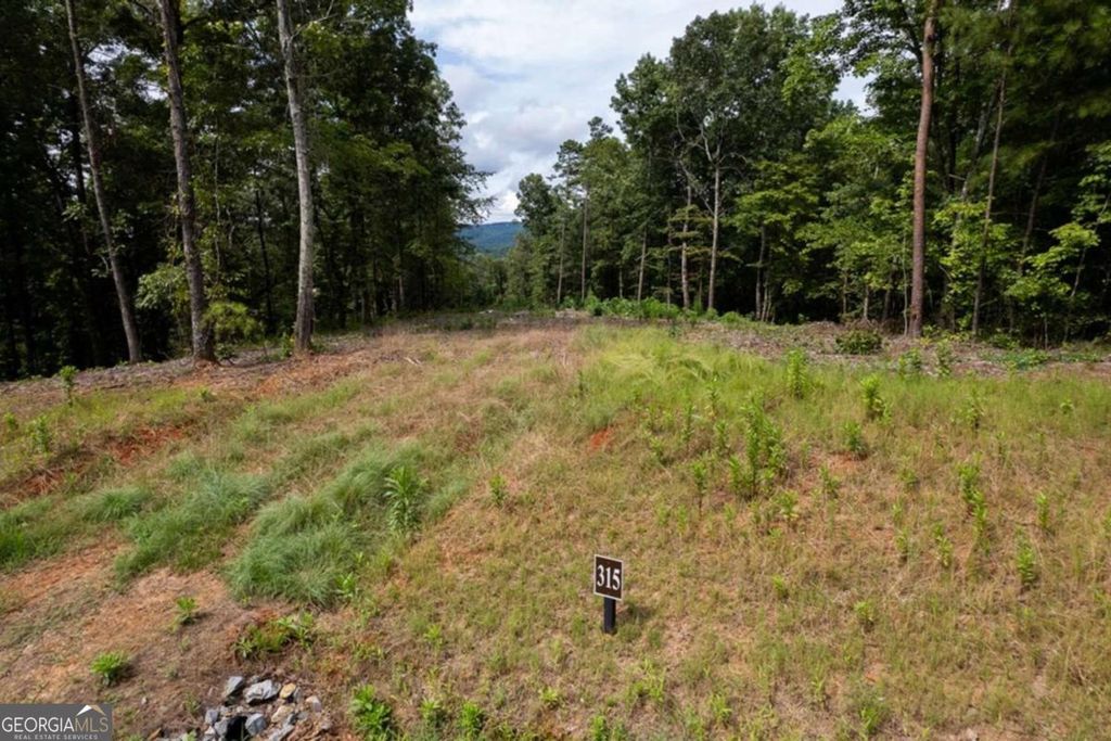 Photo of 315 Pebble Trace #315, Talking Rock, GA 30175 (MLS # 10731242)