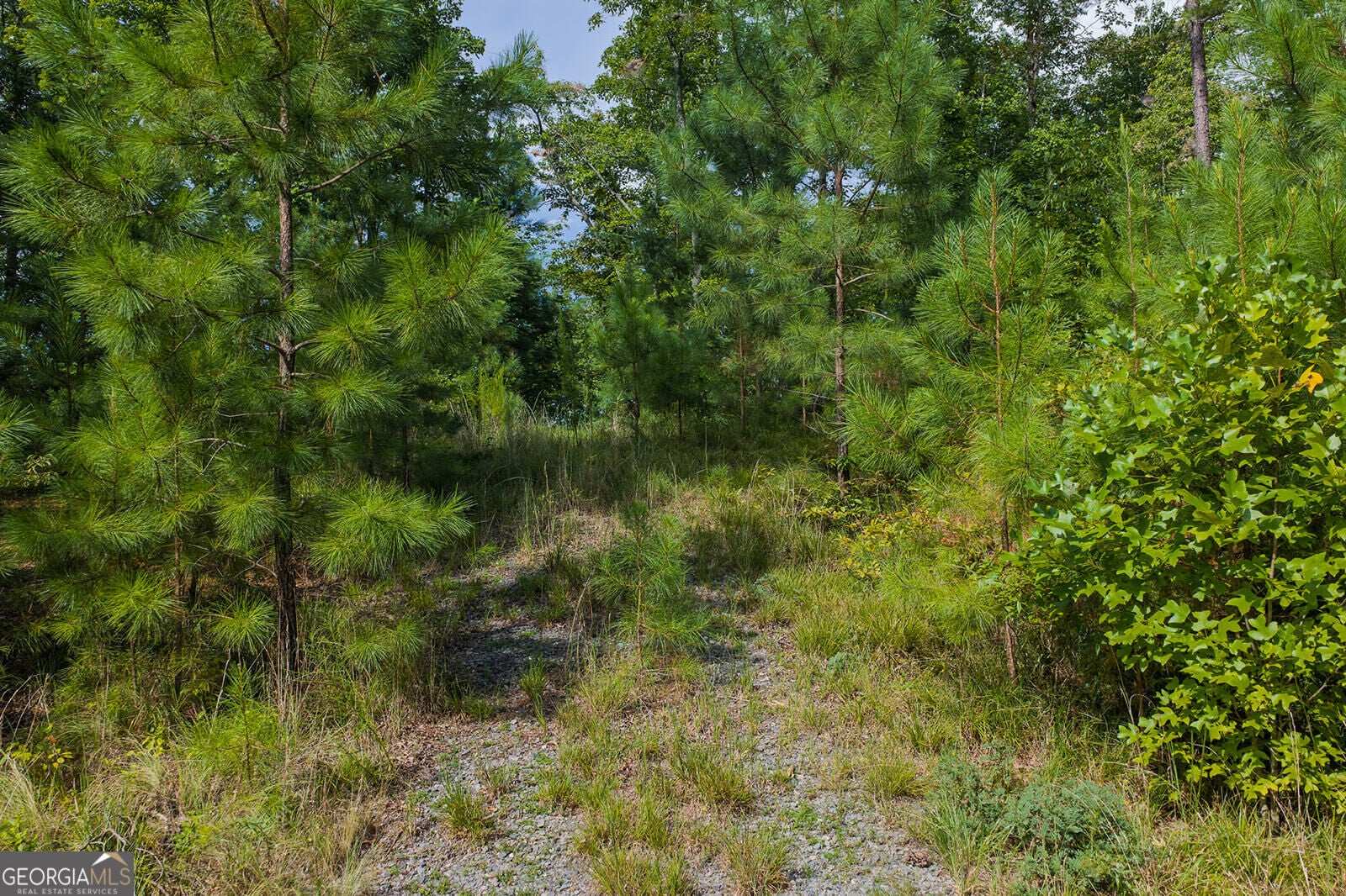 LOT 159R Harris Creek DR