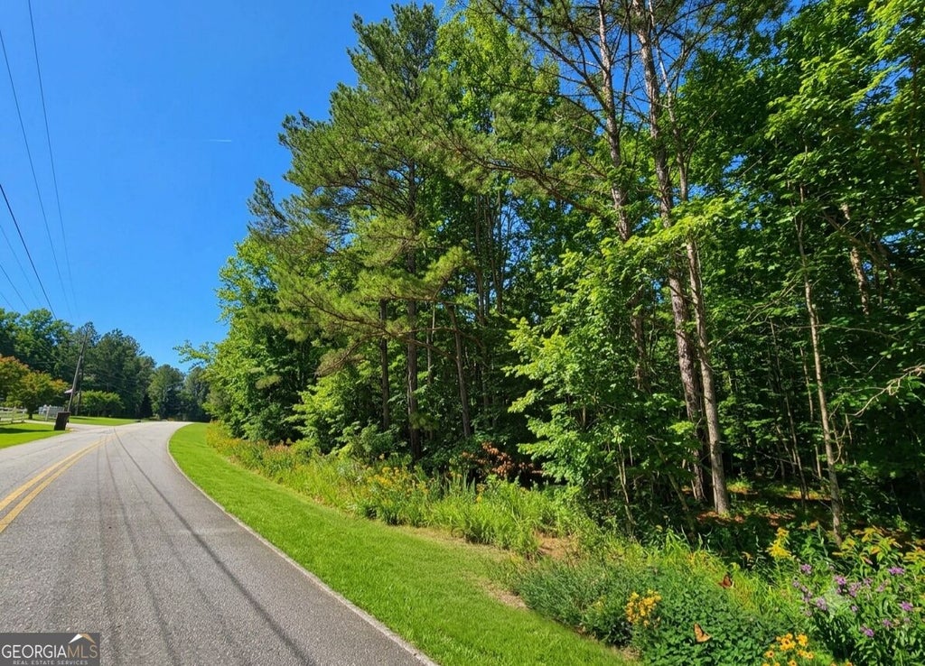 Photo of 0 River Shoals Ct, Covington, GA 30016 (MLS # 10866742)