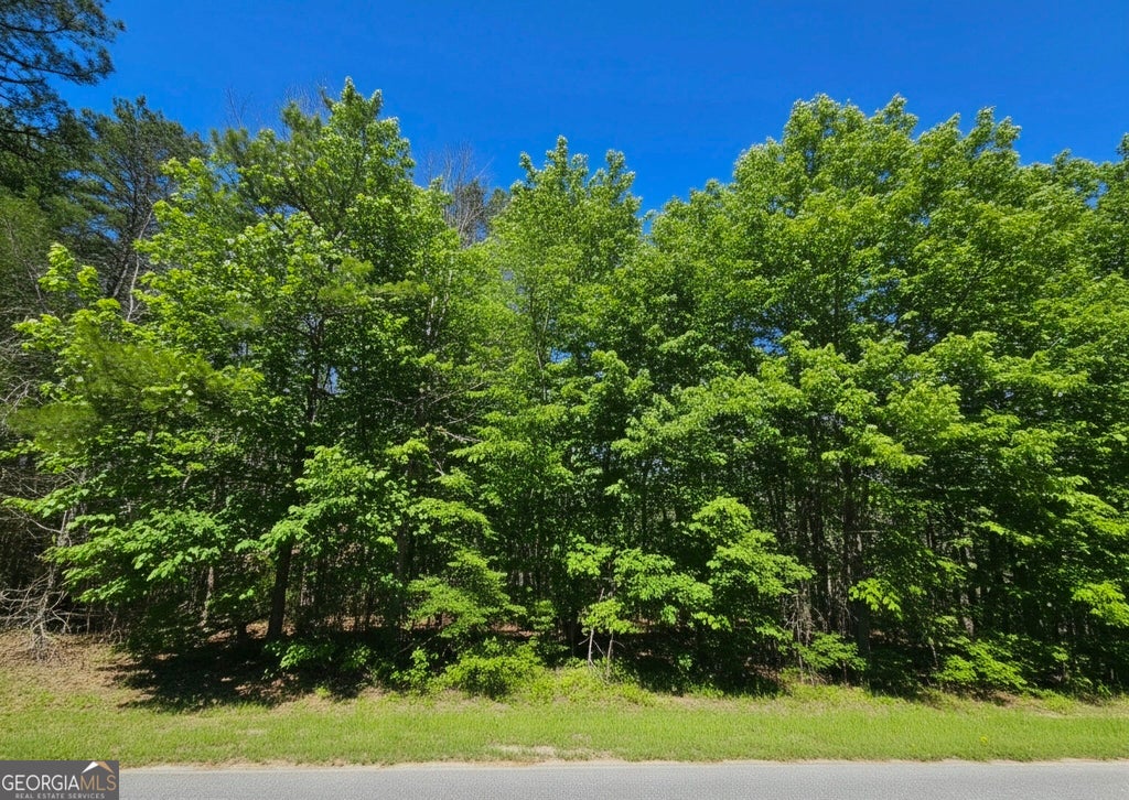 Photo of 0 River Shoals Ct, Covington, GA 30016 (MLS # 10866742)