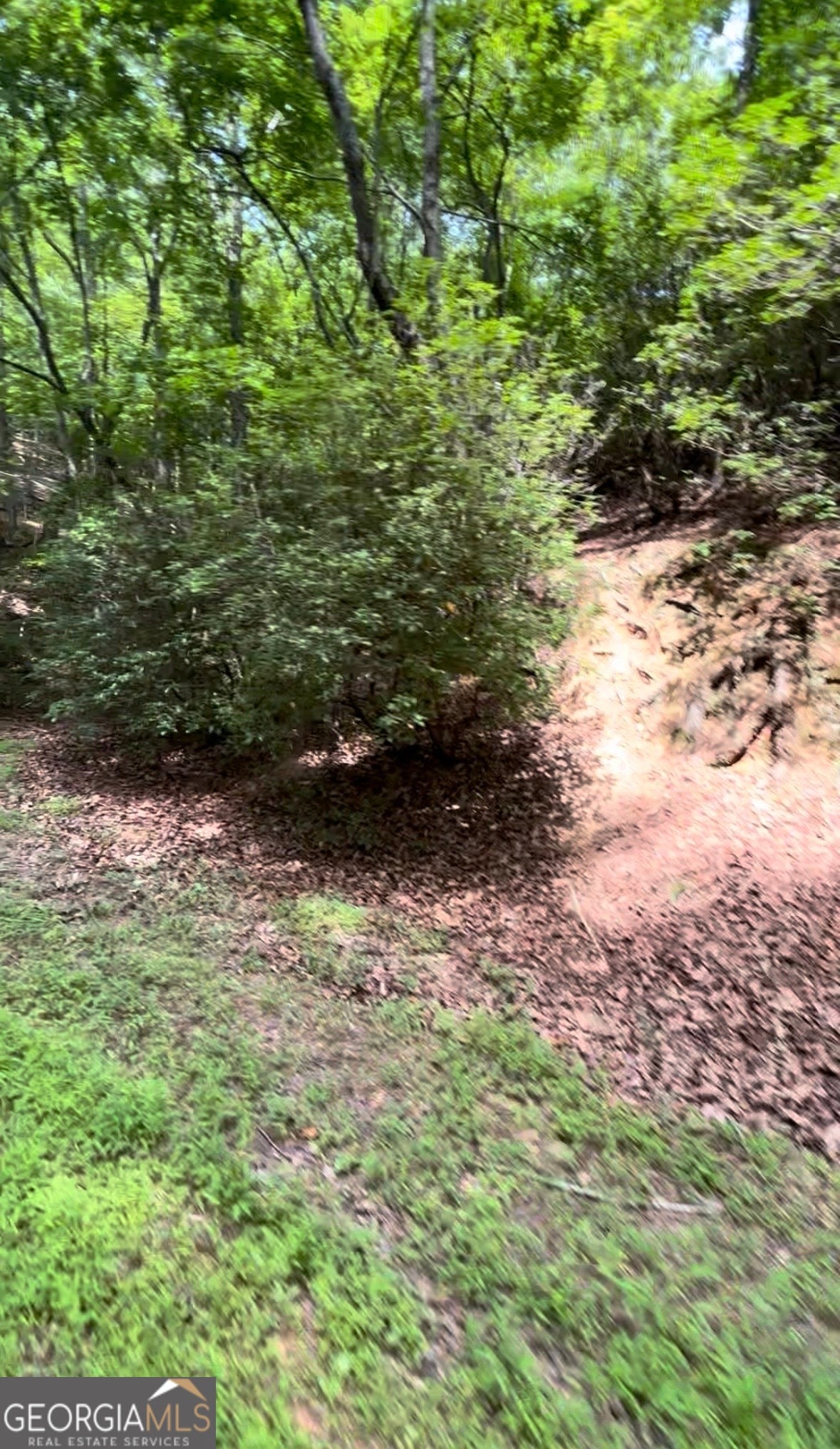 1127 Quail Cove DR