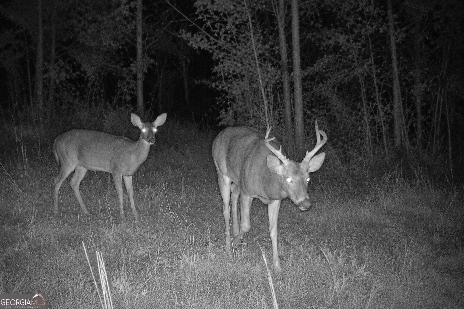 47 ACRES Cochran RD
