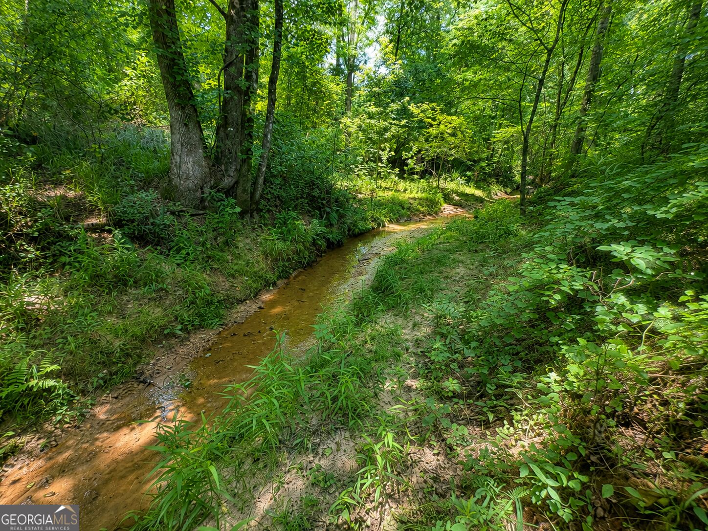 47 ACRES Cochran RD
