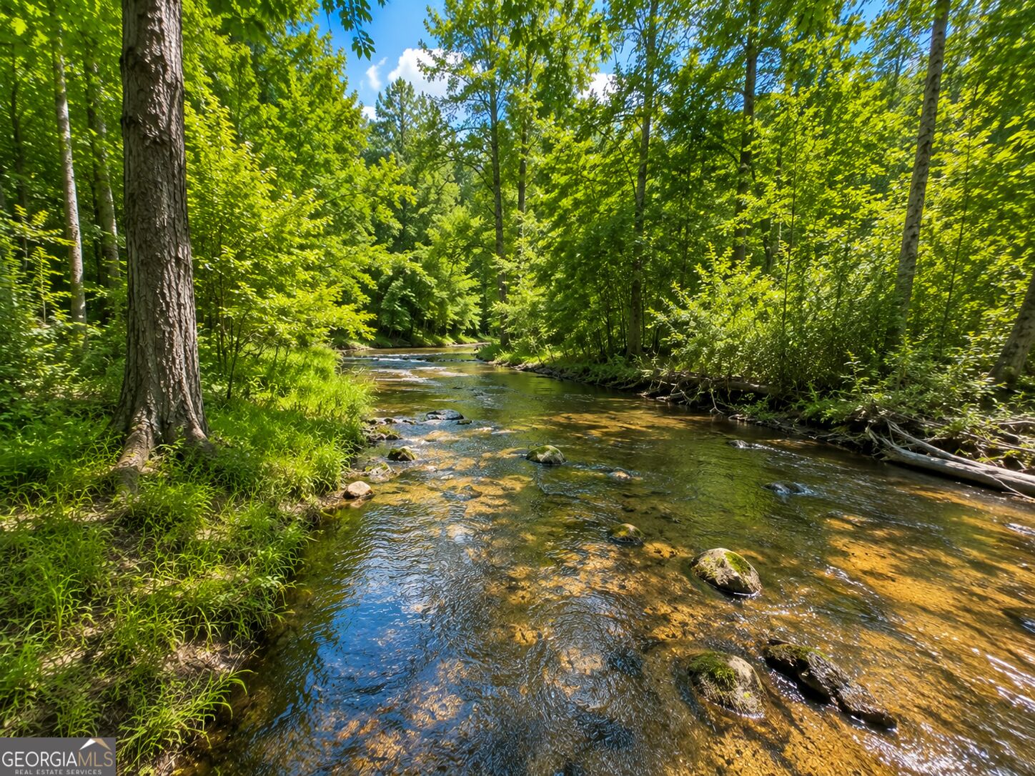 47 ACRES Cochran RD