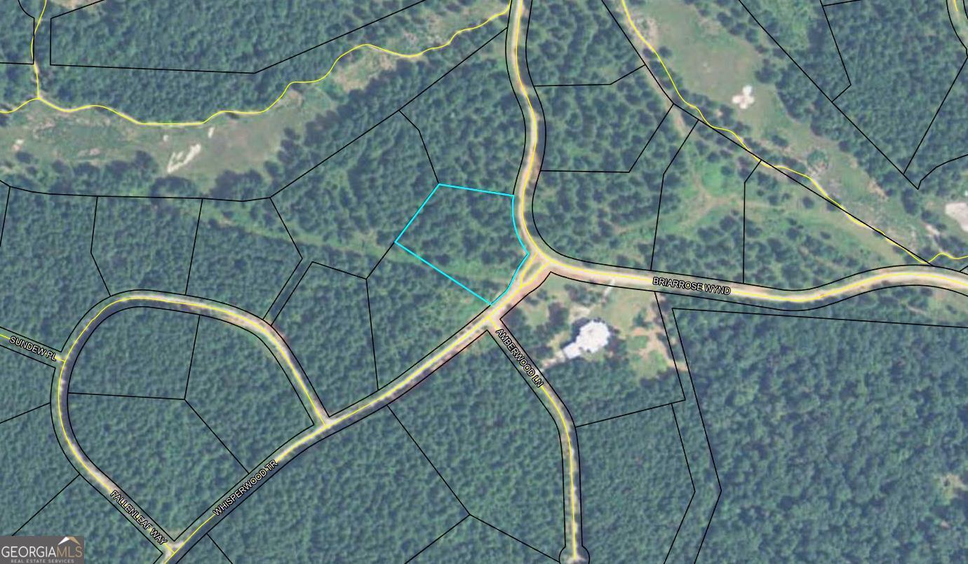 If living in the Country is your DREAM--look no further than Lot 58 in the one and only Briarrose! This lot is 1.99 wooded acres and is waiting for you to build your dream home. There is NO HOA which allows for you to bring your farm animals and enjoy the nature that Briarrose offers. It is conveniently located and is waiting for you to say yes to the address. Call to schedule your visit today!