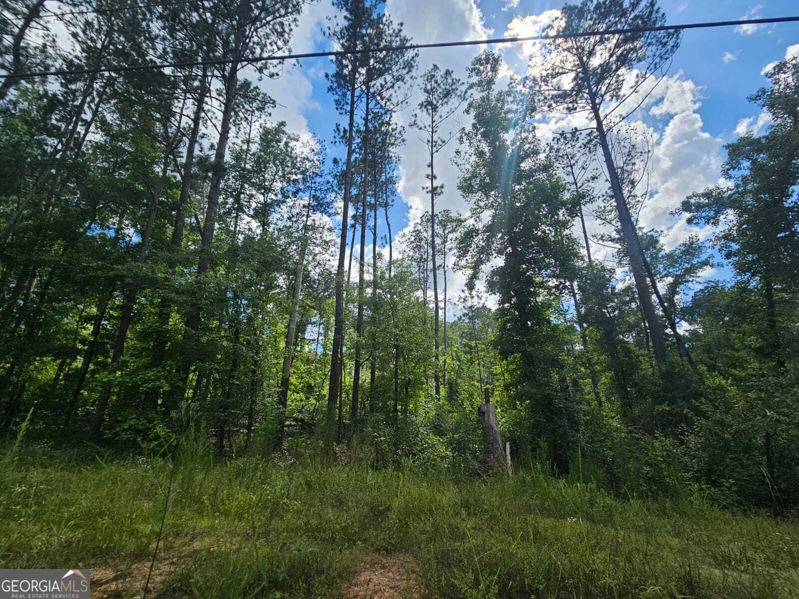 2.8 AC Bear Creek Point RD