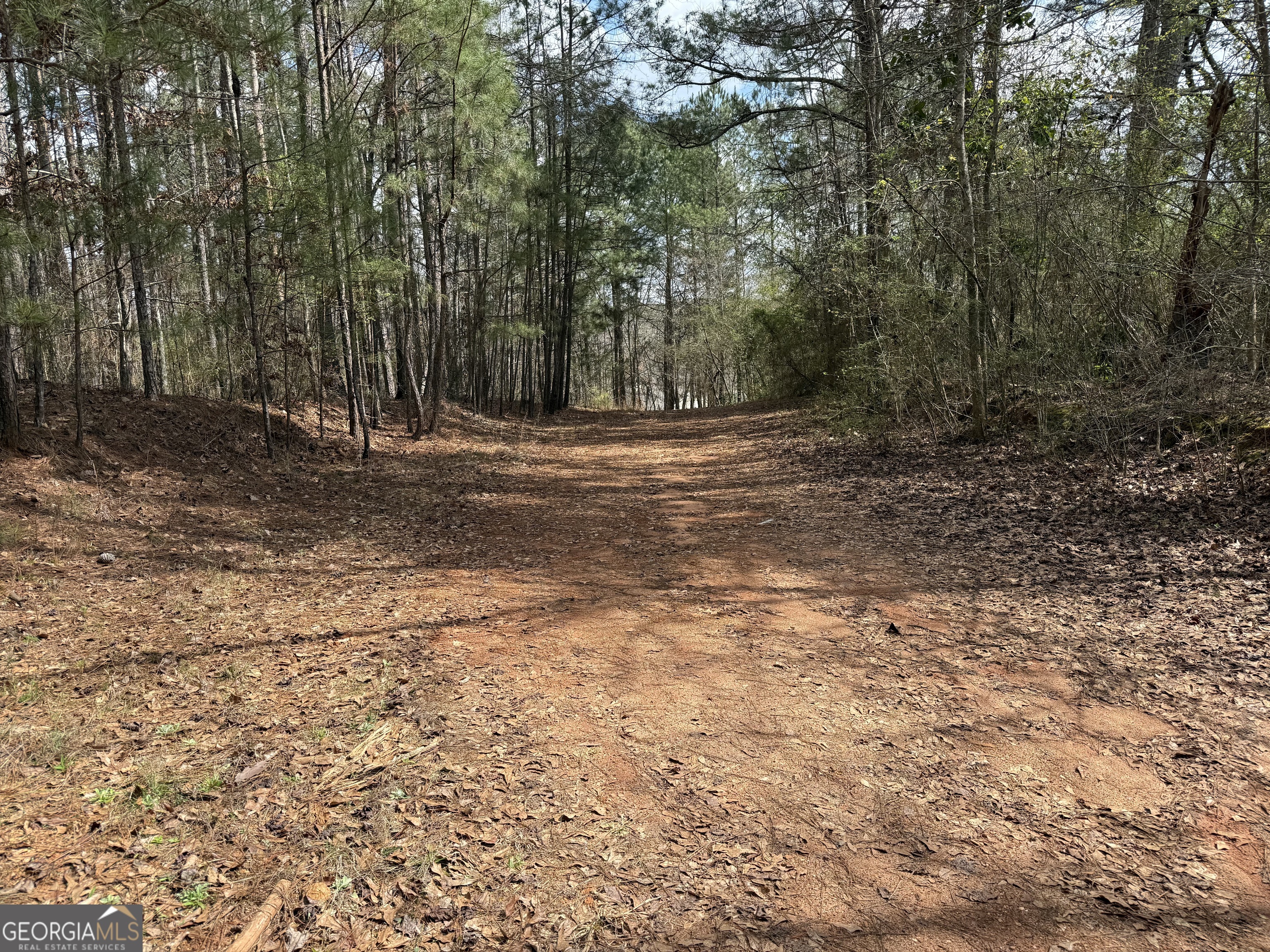 0 Lowery Rd (3.94 Ac)