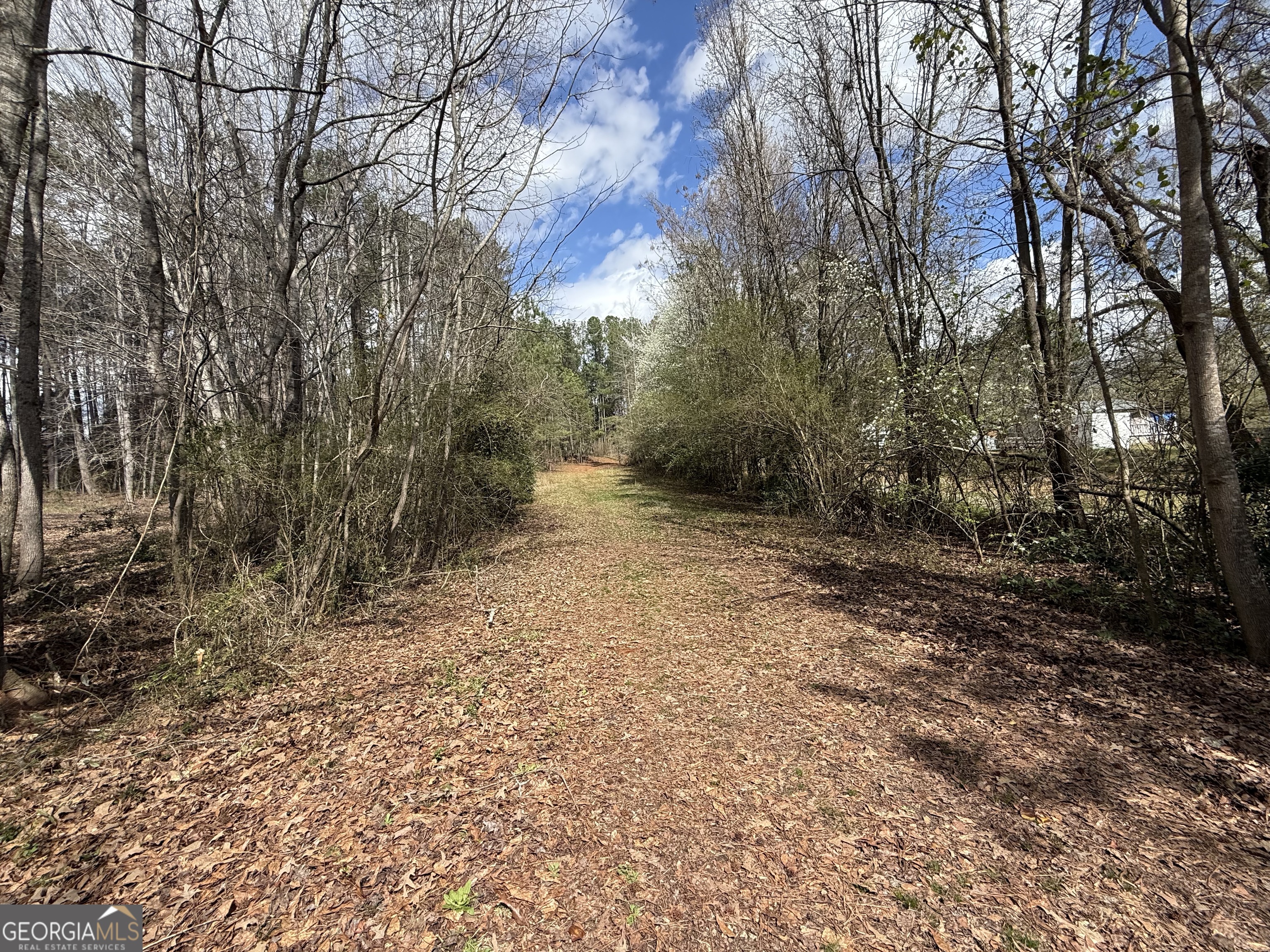 0 Lowery Rd (3.94 Ac)