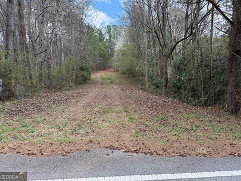 0 Lowery Rd (3.94 Ac) Grantville GA 30220