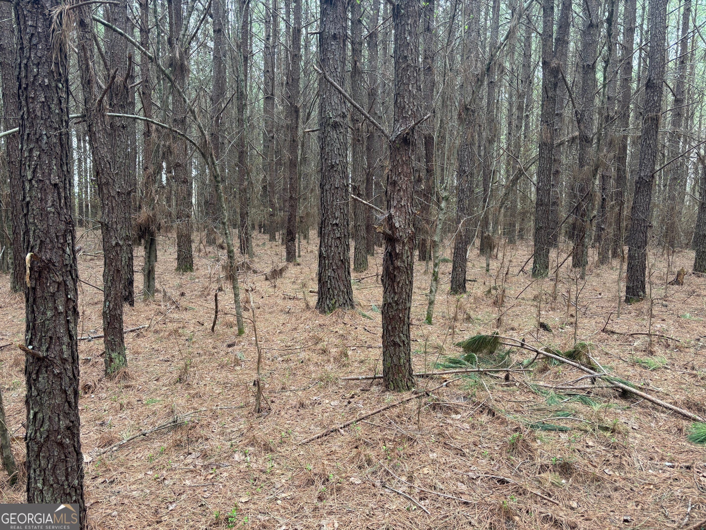 Fantastic location! 10.15 acres waiting on you to create a paradise for your family. Minutes from the university, shopping, and bypass! Additional acreage available.