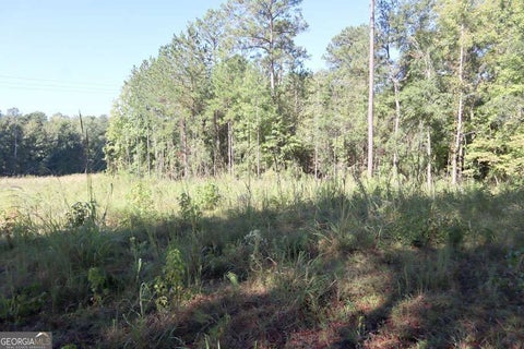 Photo of 287 Lake Sinclair Drive SW, Sparta, GA 31087 (MLS # 10870553)