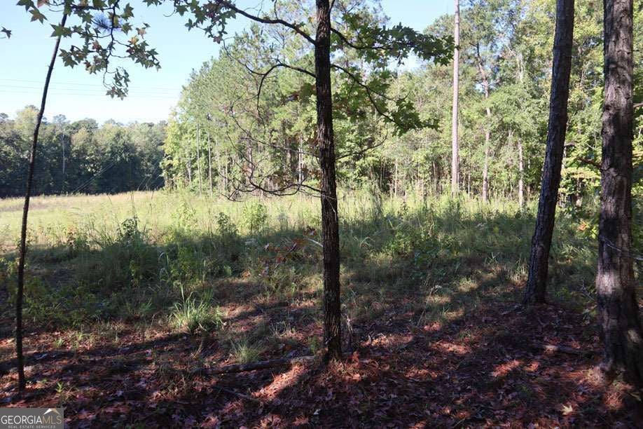 Photo of 287 Lake Sinclair Drive SW, Sparta, GA 31087 (MLS # 10870553)