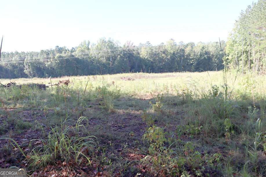 Photo of 287 Lake Sinclair Drive SW, Sparta, GA 31087 (MLS # 10870553)