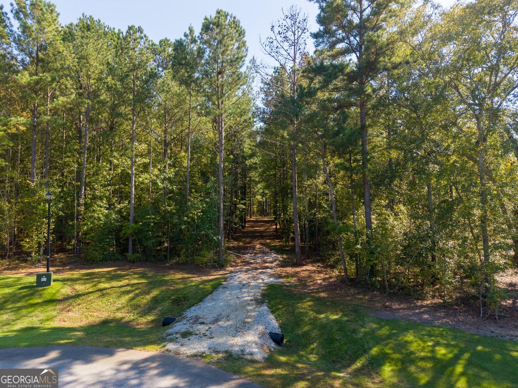 Photo of 190 Grace Hope Drive, Brooks, GA 30205 (MLS # 10874853)
