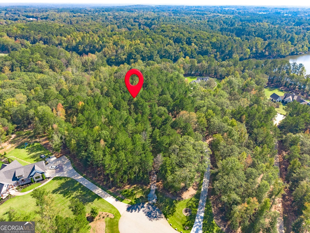 Photo of 190 Grace Hope Drive, Brooks, GA 30205 (MLS # 10874853)