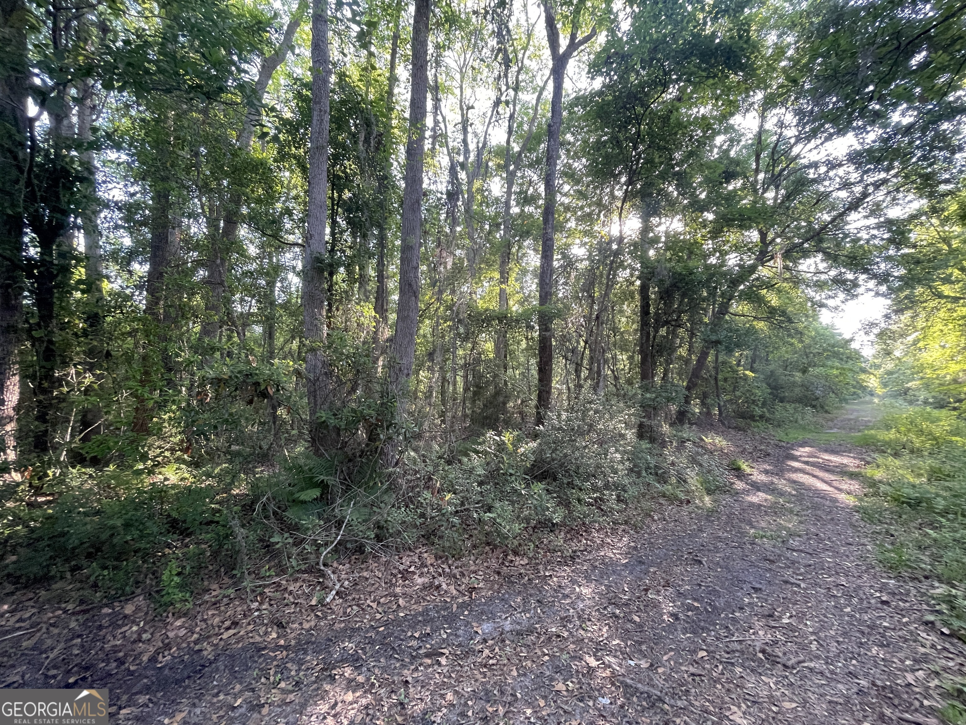 24+AC Liz Moody BLVD