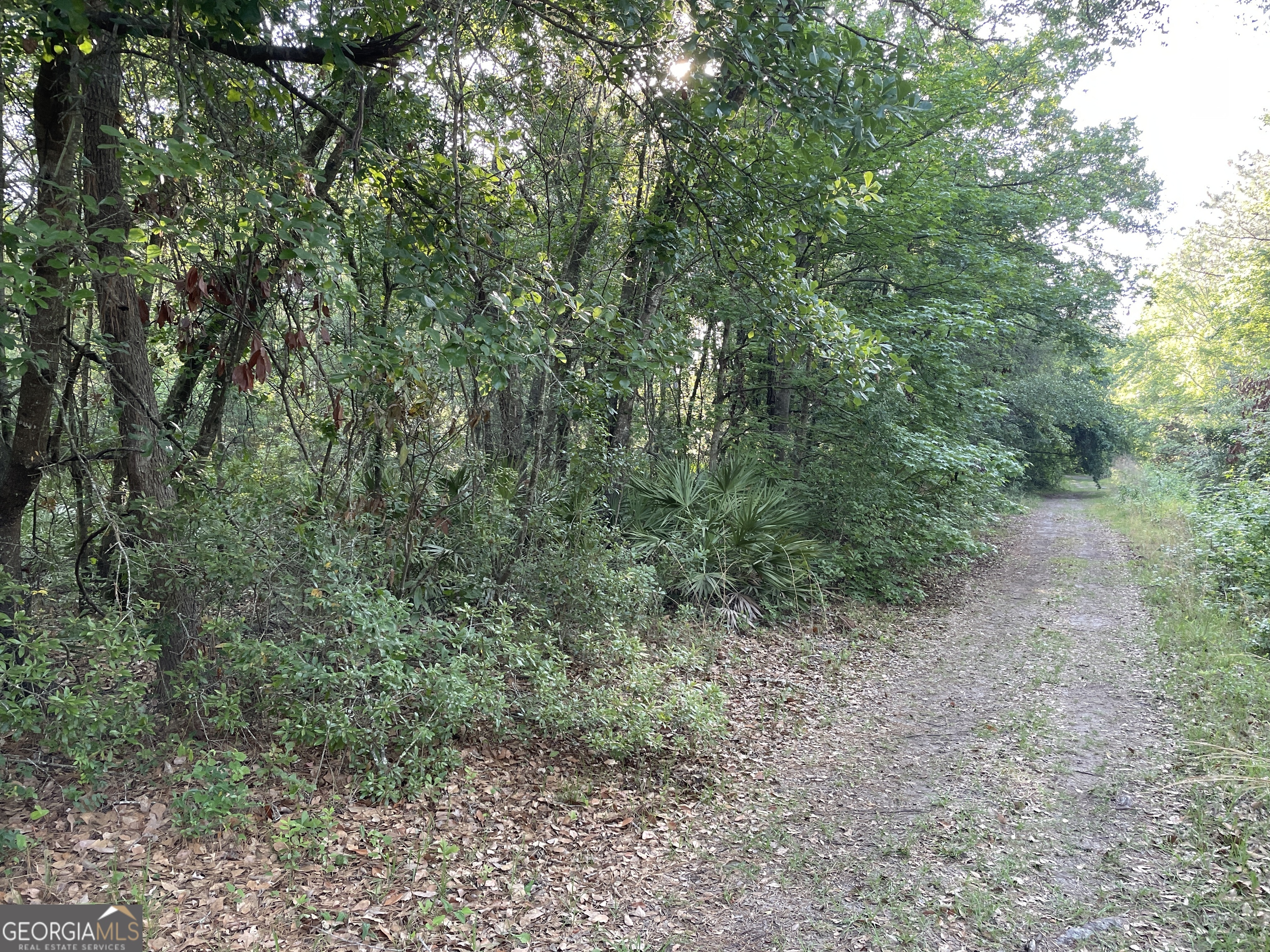 24+AC Liz Moody BLVD