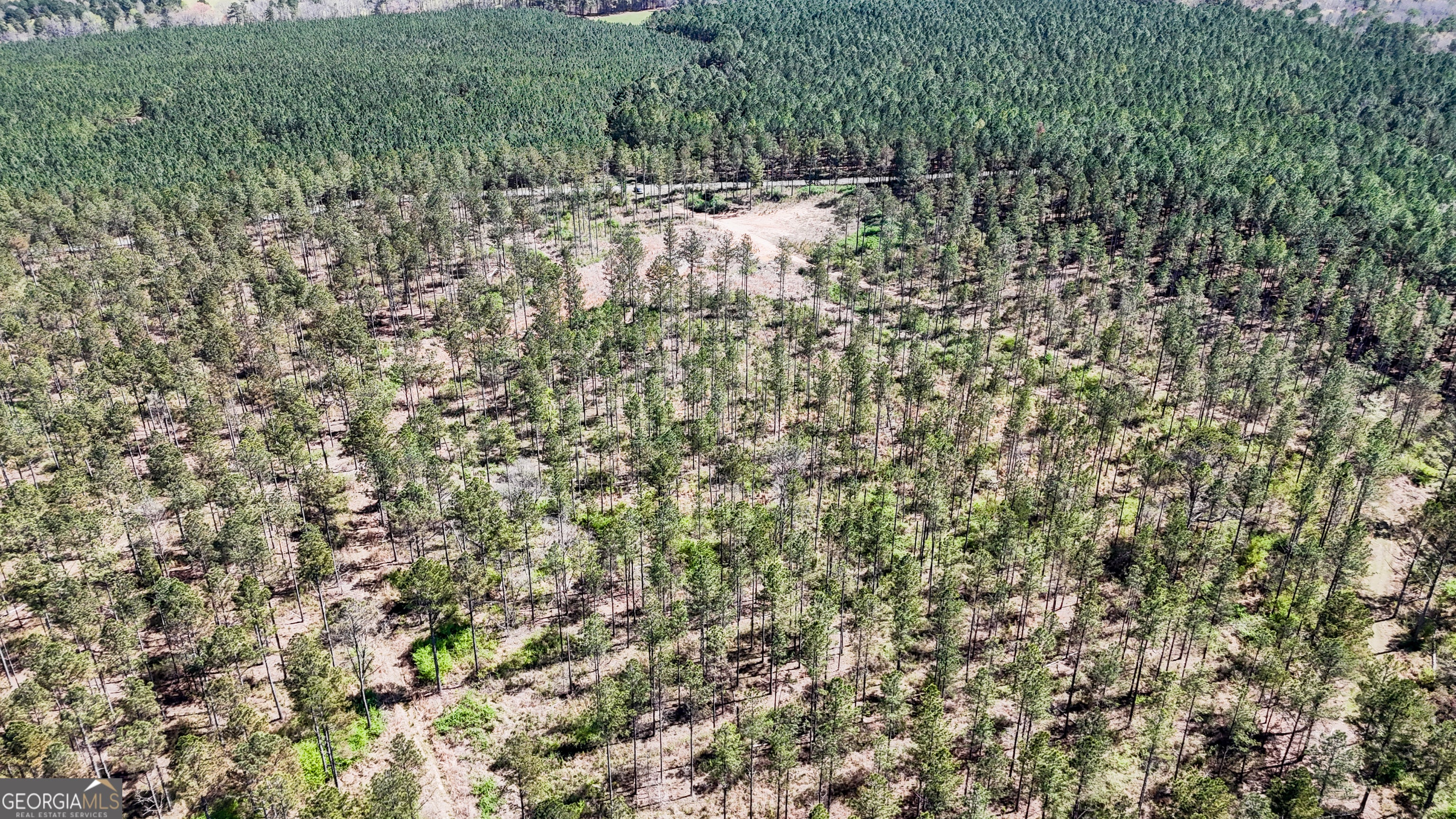 403 ACRES Youngs Farm RD