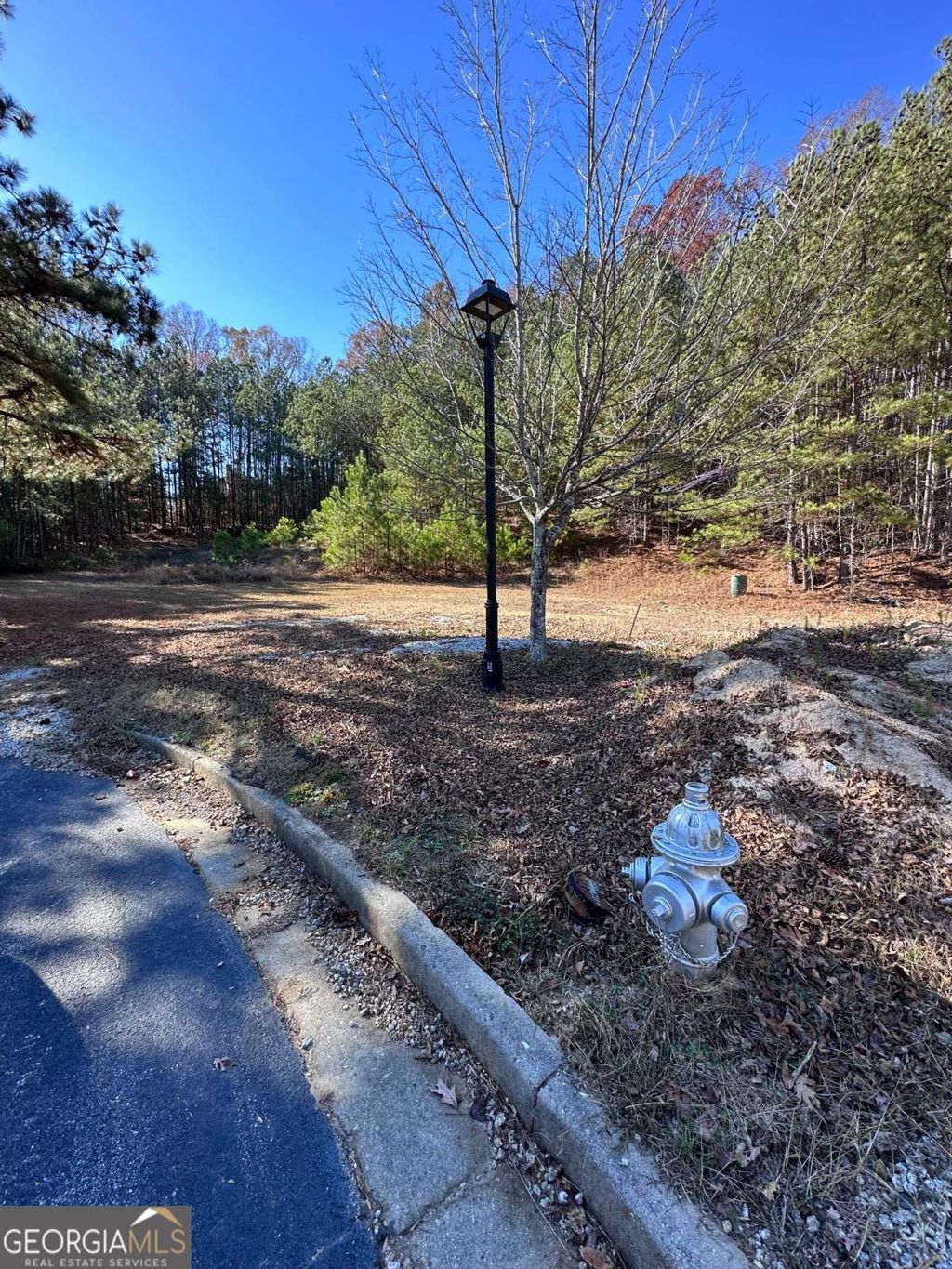 Photo of 245 Beracah Walk SW, Atlanta, GA 30331 (MLS # 10739507)
