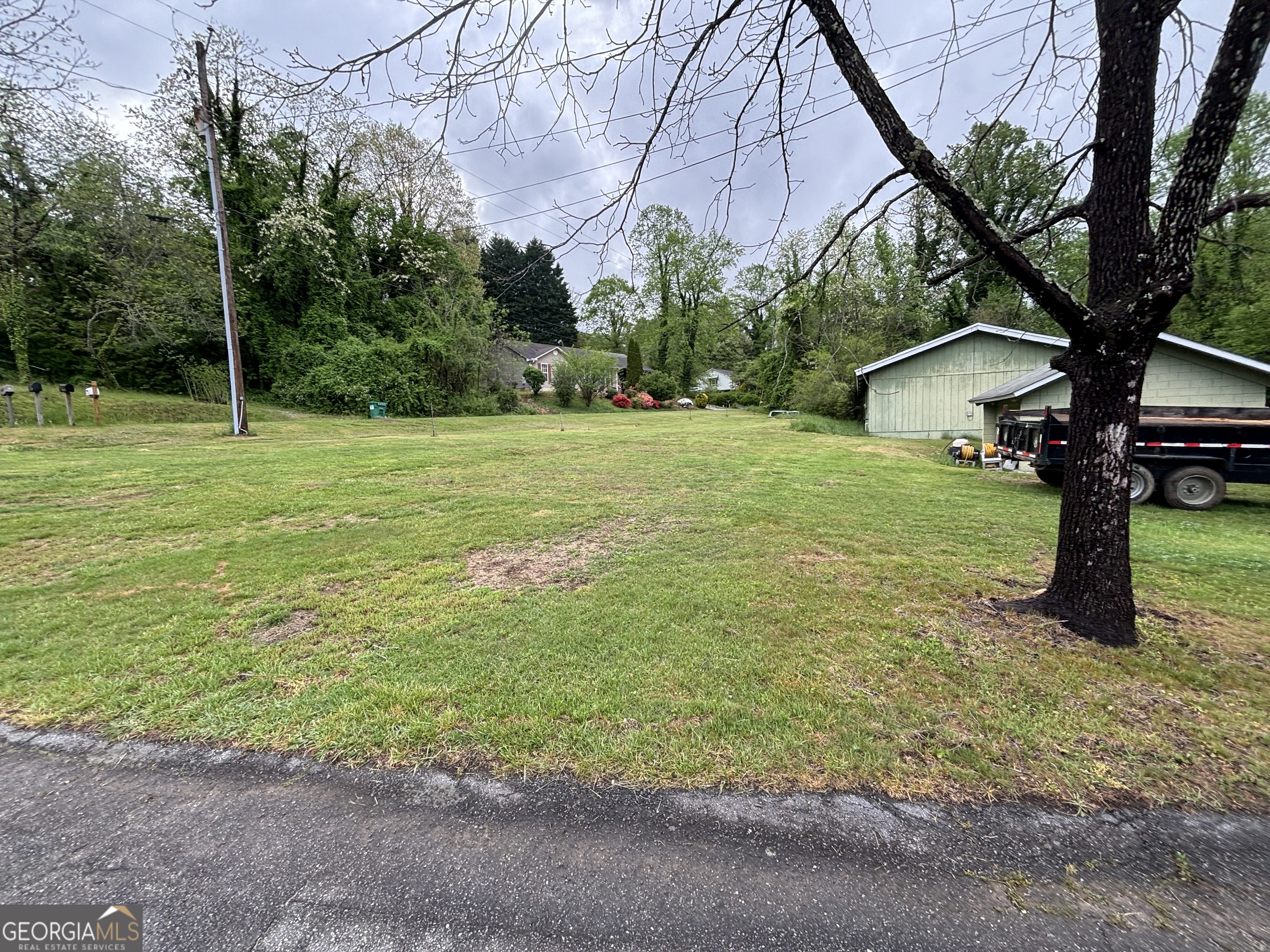 25 Forestry CT