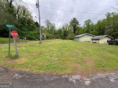 Photo of 25 Forestry Court, Clayton, GA 30525 (MLS # 10505892)