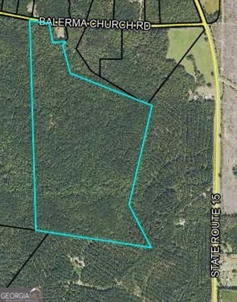 Photo of 2 Balerma Church Road, Sparta, GA 31087 (MLS # 10597481)