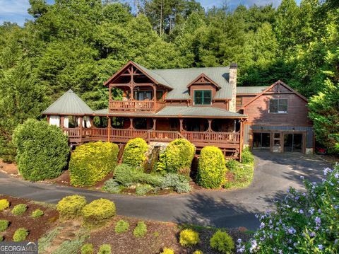 A home in Mineral Bluff