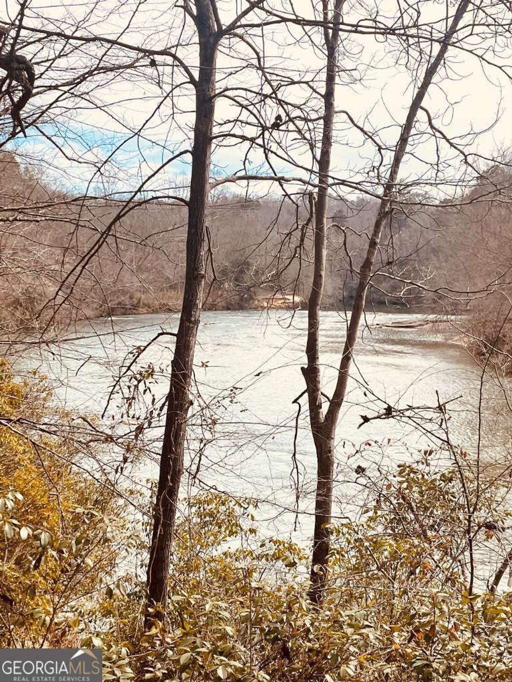 Photo of 0 Hellyer Drive, Cleveland, GA 30528 (MLS # 10656263)