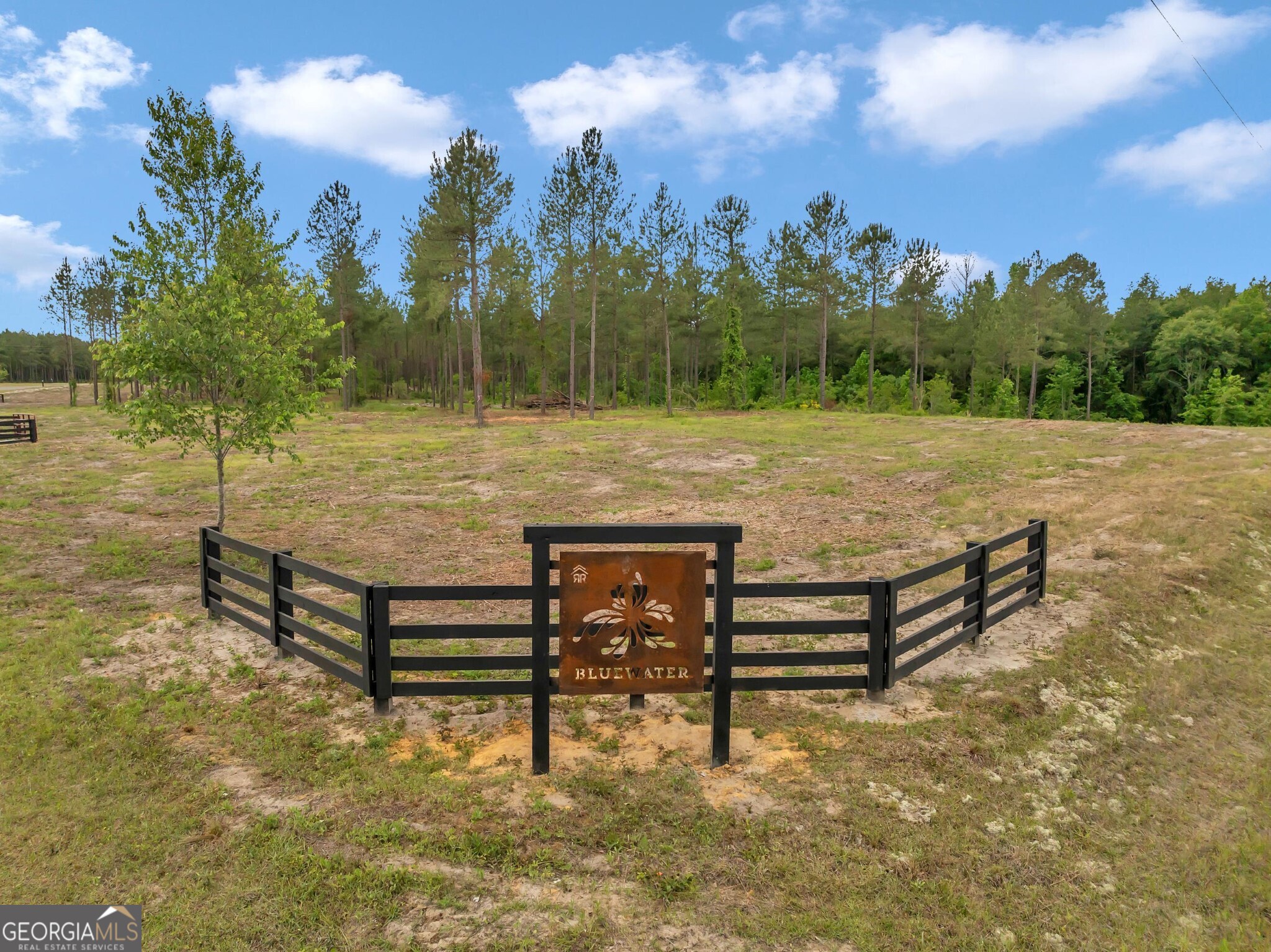 Bluewater offers 19 beautiful country homesites designed for those who want to enjoy the quiet charm of rural living with the convenience of nearby amenities. Lot #2 features 4.754 acres of fully wooded land with a small creek running through the property, providing a serene and private natural setting where wildlife thrives. The community includes protective covenants, a gated driveway entrance, and paved road frontage, all within an excellent public school district. Located just minutes from downtown Dublin's shopping, dining, and entertainment, and only 6 minutes from Interstate 16, this property is perfectly situated halfway between Atlanta and Savannah. With a thriving local economy, peaceful country setting, and family-friendly environment, Bluewater is the ideal place to plant roots, build your dream home, and enjoy the laidback country lifestyle.