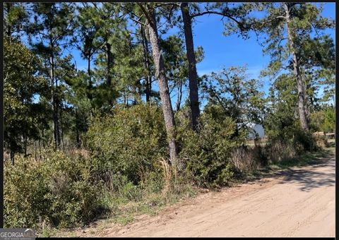 PT LT 24X E West Autobahn RD Sapelo Island GA 31327