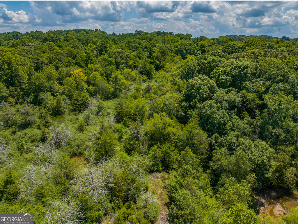 LOT TBD 3 Ga Highway 366