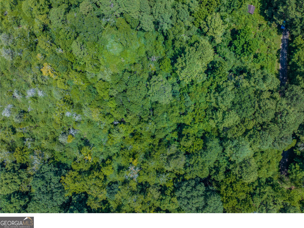 LOT TBD 3 Ga Highway 366