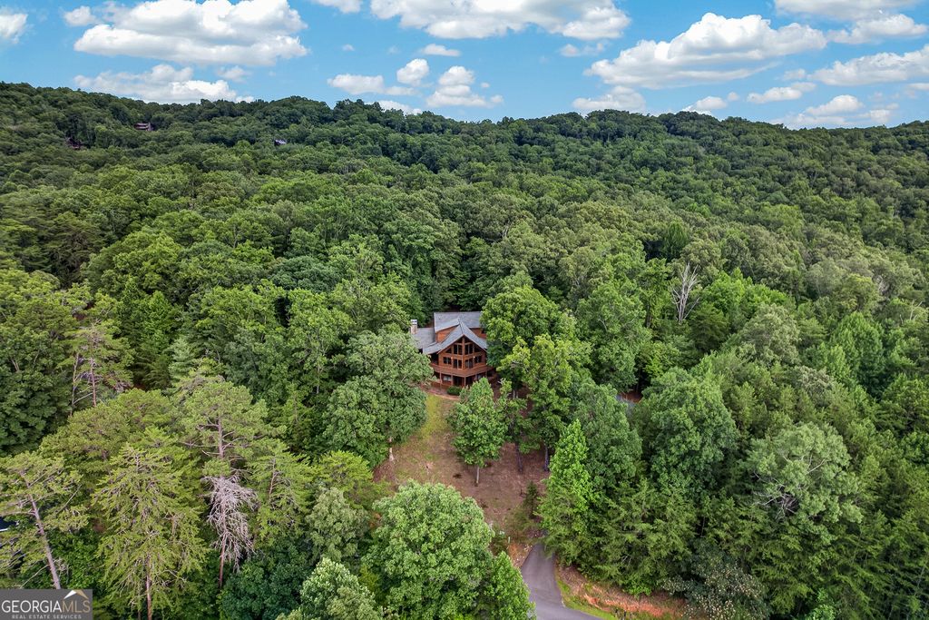 Photo of 23 Dolores Drive, Mineral Bluff, GA 30559 (MLS # 10811681)