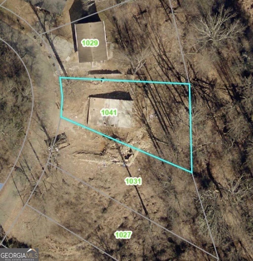 Photo of 1041 Jordan Drive, Gainesville, GA 30501 (MLS # 10661277)