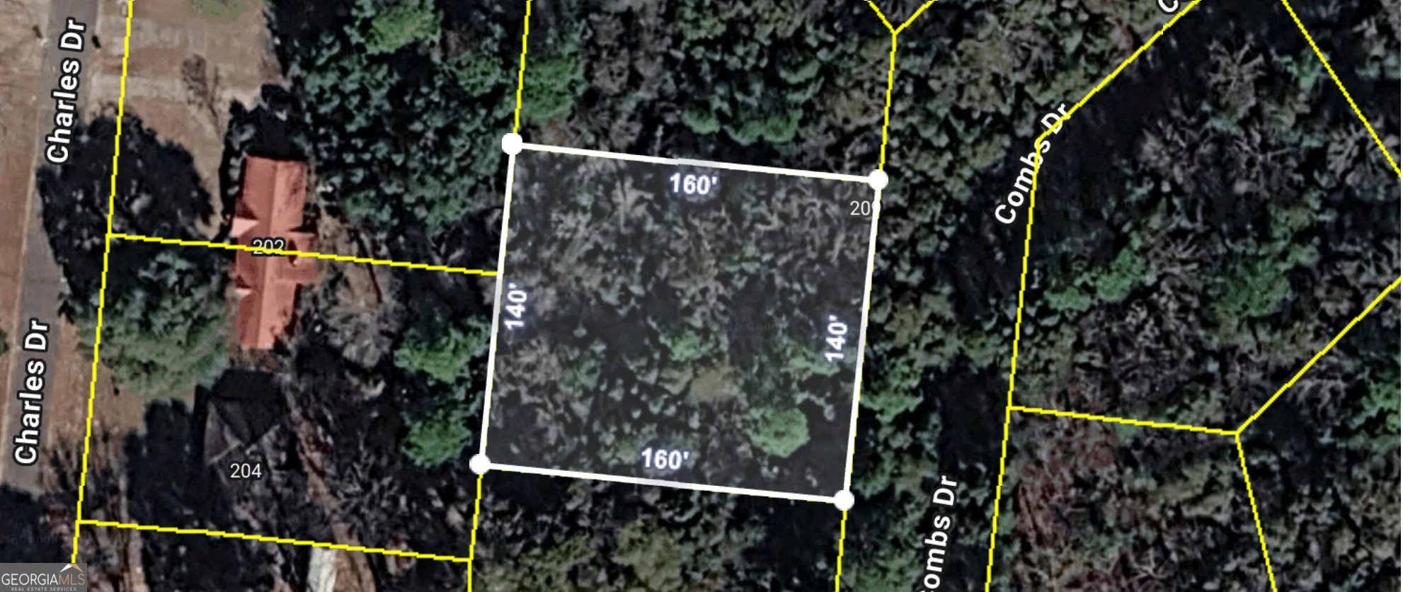 205 Combs Drive, Montezuma, GA, 31063