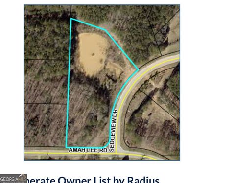 0 Sedgeview DR Hampton GA 30228