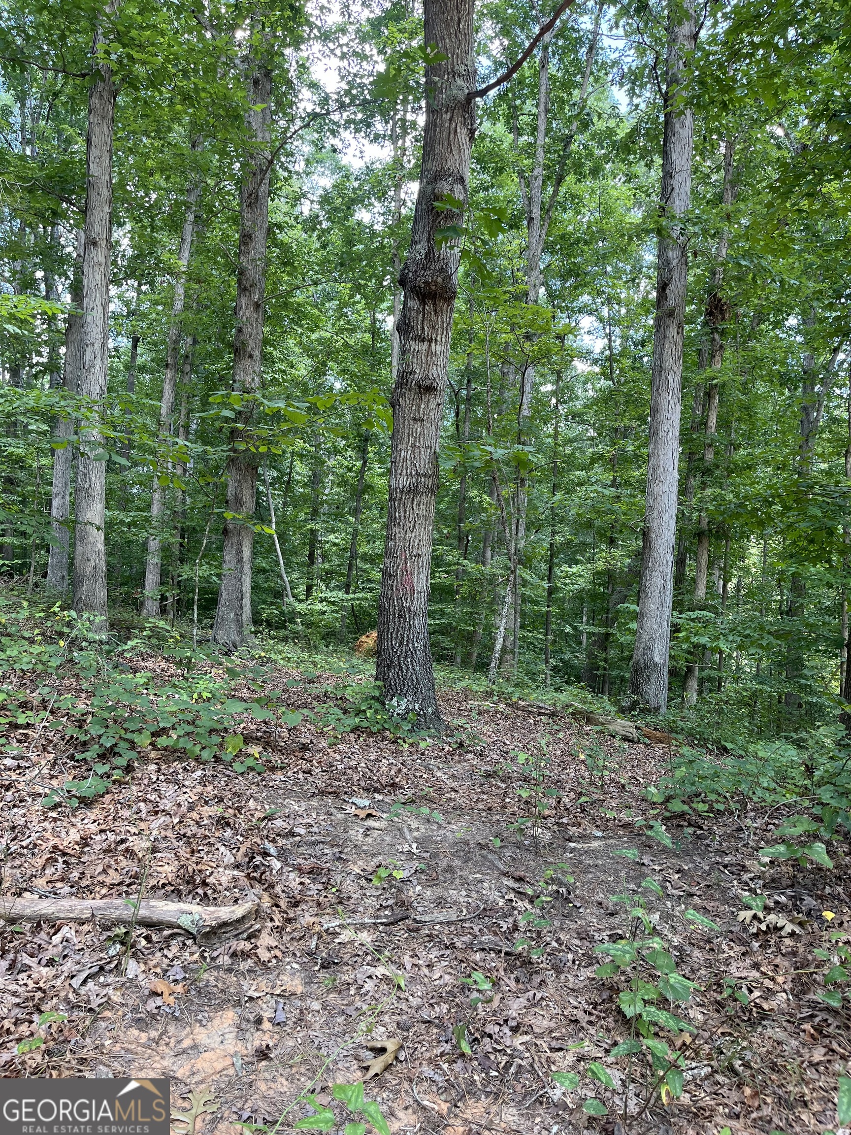 2.7 Acres of Treasured privacy located in a cul de sac. There is no HOA. Lot backs up to a creek with some clearing completed.