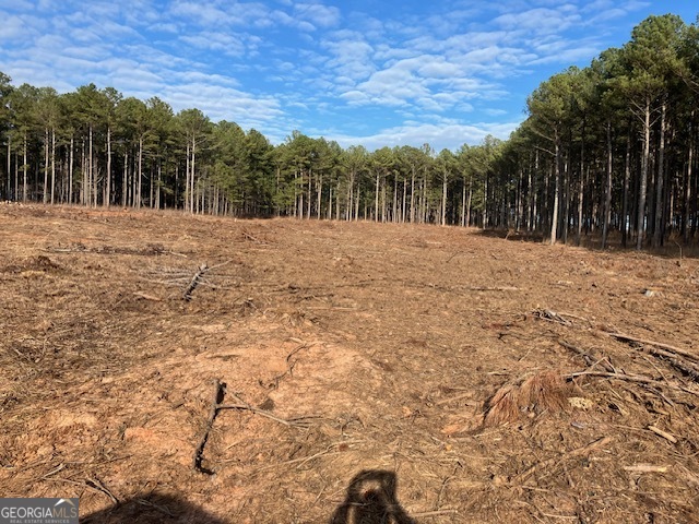 310 Philomath Woodville Road