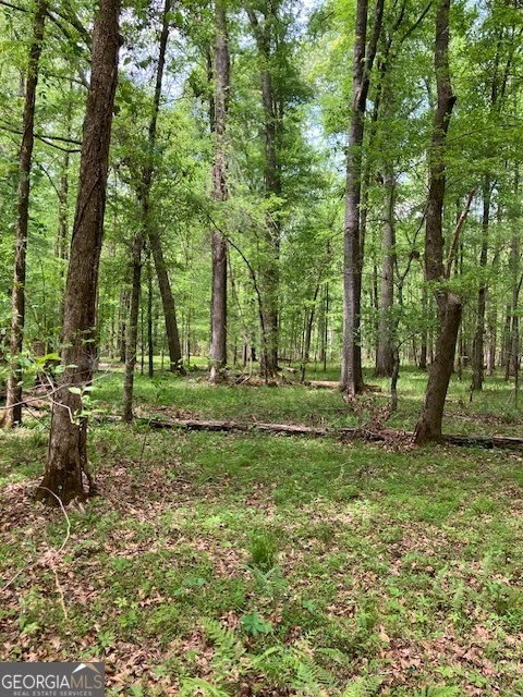 310 Philomath Woodville Road, Rayle, GA, 30660