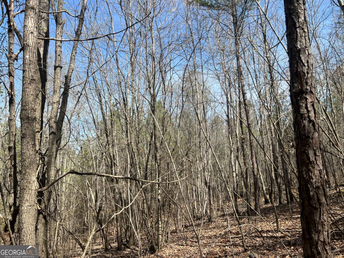 5.03 Wooded Acres in an Exclusive Cul-de-Sac. Discover the perfect setting for your dream home on this 5.03-acre wooded lot in the Derby, sought-after community in Bartow County between Rome and Cartersville. Nestled on a quiet cul-de-sac, this beautiful parcel offers a serene, private atmosphere while maintaining convenient access to local amenities. This exclusive property is subject to protective covenants, ensuring a high standard of living, and requires a minimum 2,000 sq. ft. home, preserving the integrity and value of the neighborhood. Enjoy the beauty of mature trees and the tranquility of nature right in your backyard, with plenty of space to create your ideal retreat. If you're looking for a private yet prestigious location to build your custom home, Don't miss this incredible opportunity. Contact us today for more details! No limit to build. $200 a year HOA Fee. Zoned: A-1 Agricultural. Utilities: Power & Water.