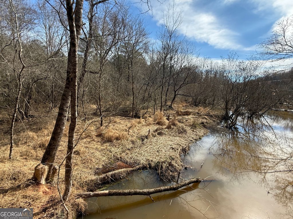 Photo of 451 Whatley Road N, Lagrange, GA 30240 (MLS # 10730815)