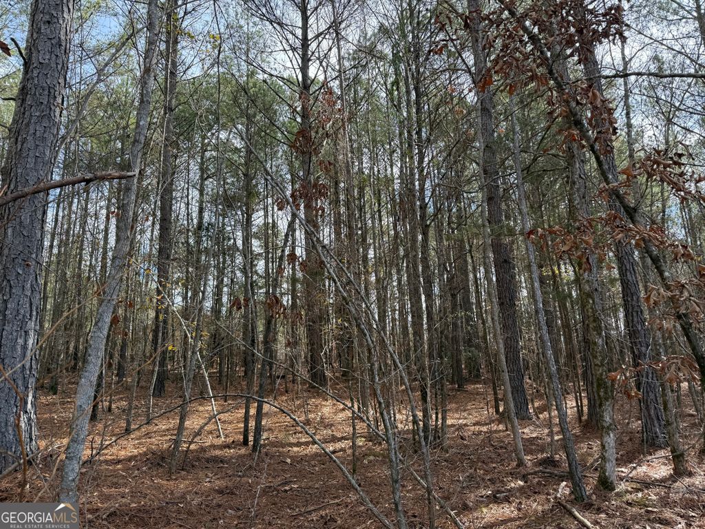 Photo of 451 Whatley Road N, Lagrange, GA 30240 (MLS # 10730815)