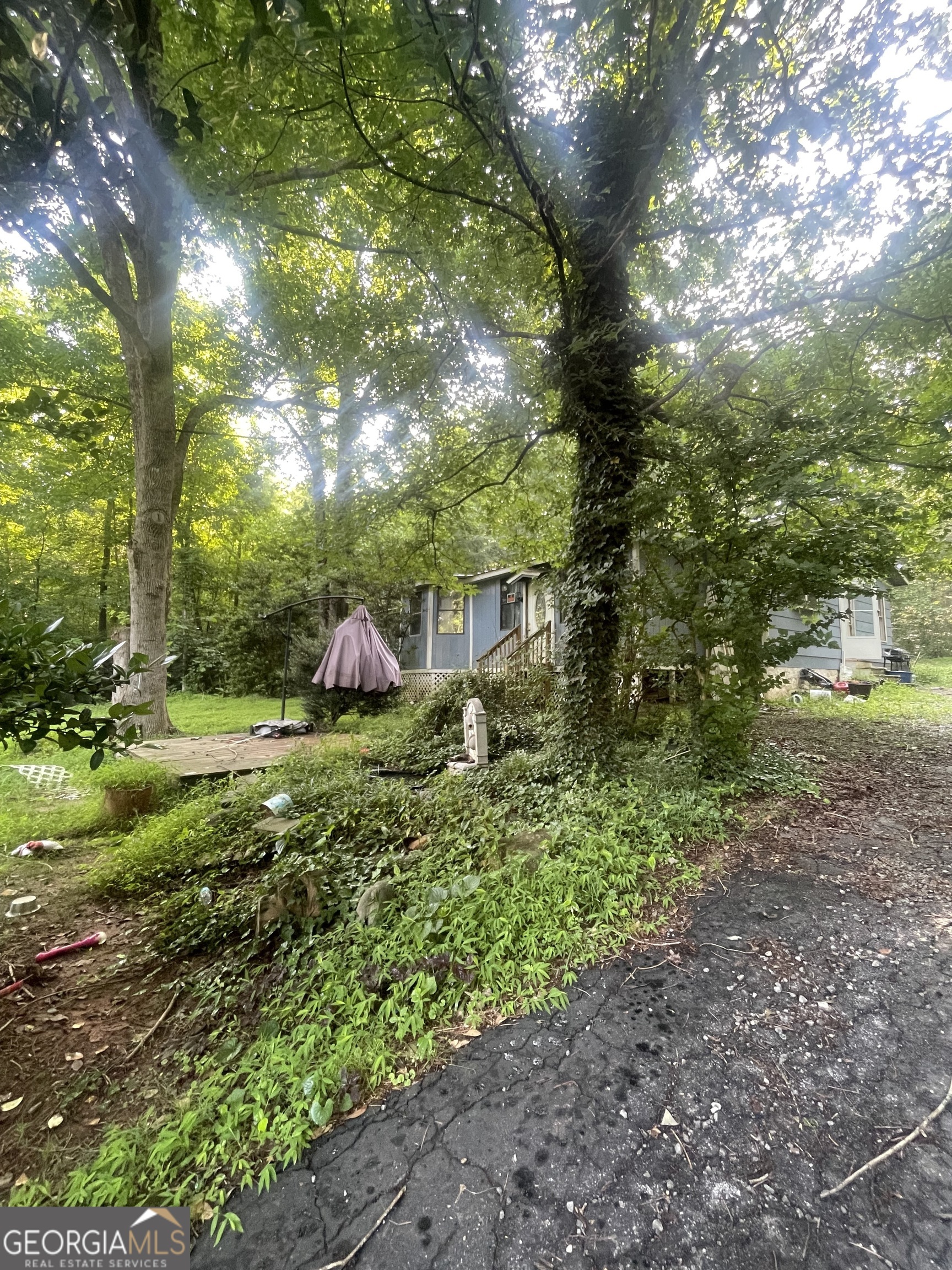 243 Lakeside TRL