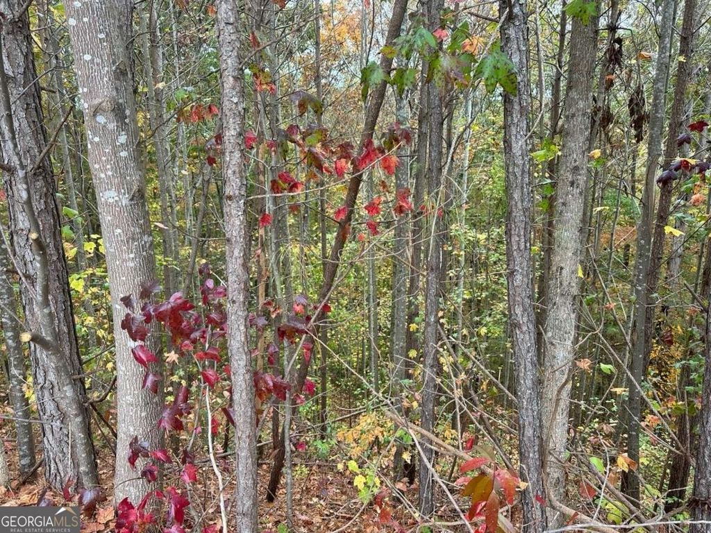 Photo of 427 Spring Lake Hills, White, GA 30184 (MLS # 10542361)