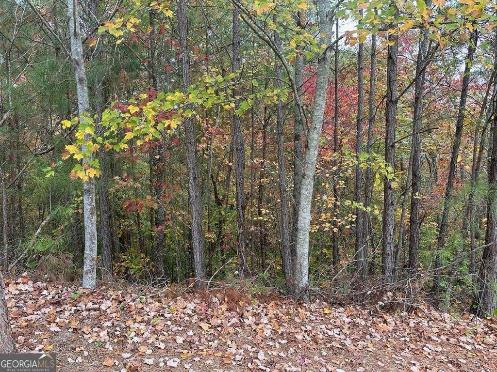 Photo of 427 Spring Lake Hills, White, GA 30184 (MLS # 10542361)