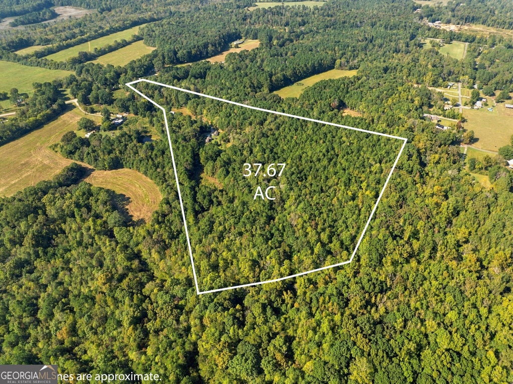 Photo of 8732 Highway 337, Summerville, GA 30747 (MLS # 10876711)